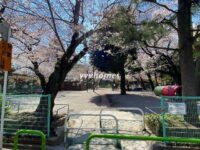 ReveResidence白金台（猿町公園）