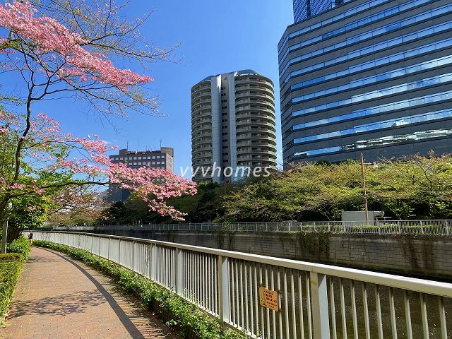 白金台と大崎駅