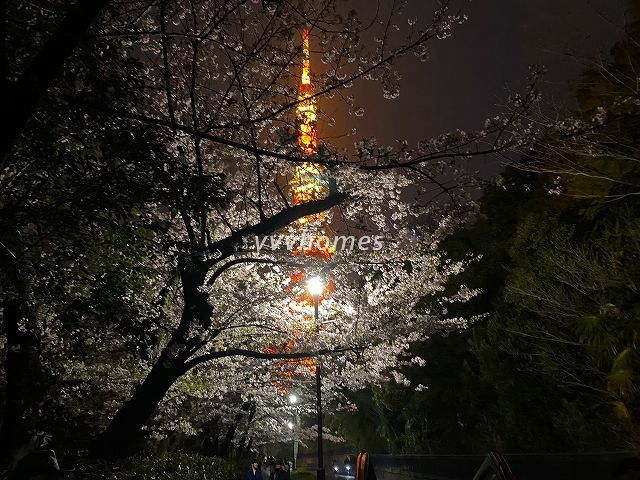 芝公園と東京タワー