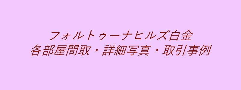 フォルトゥーナヒルズ白金（取引事例）