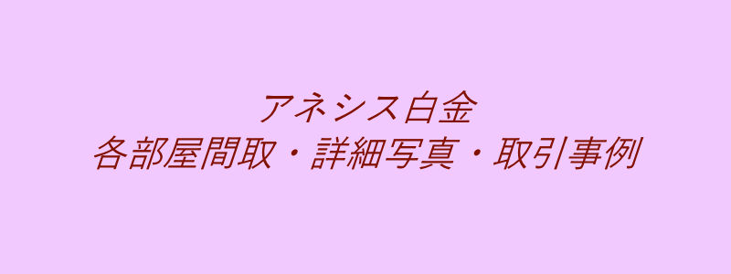 アネシス白金（取引事例）