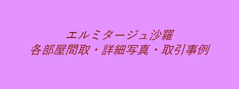 エルミタージュ沙羅（取引事例）