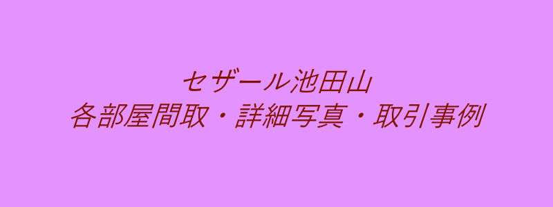 セザール池田山（取引事例）