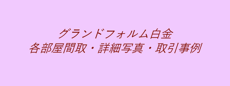 グランドフォルム白金（取引事例）