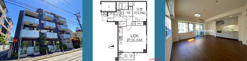 ステラメゾン白金台_204号室