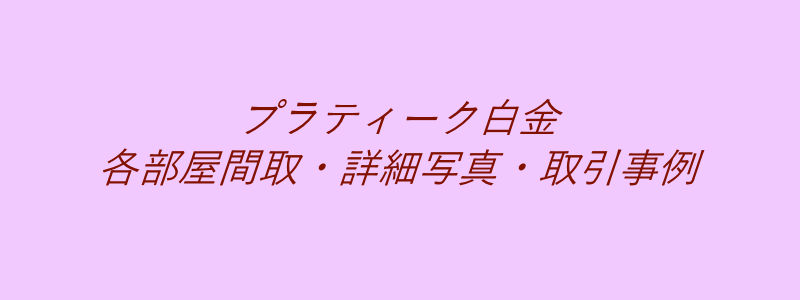 プラティーク白金（取引事例）