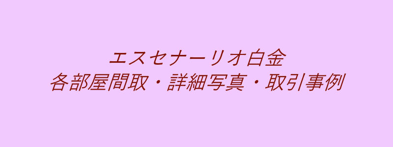 エスセナーリオ白金（取引事例）