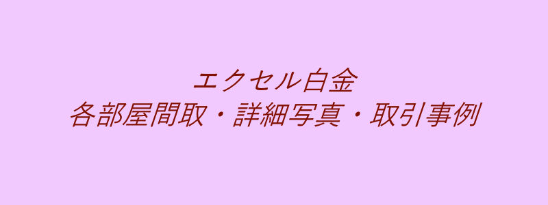 エクセル白金（取引事例）