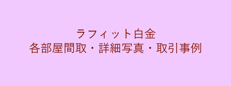 ラフィット白金（取引事例）