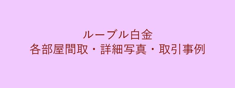 ルーブル白金（取引事例）