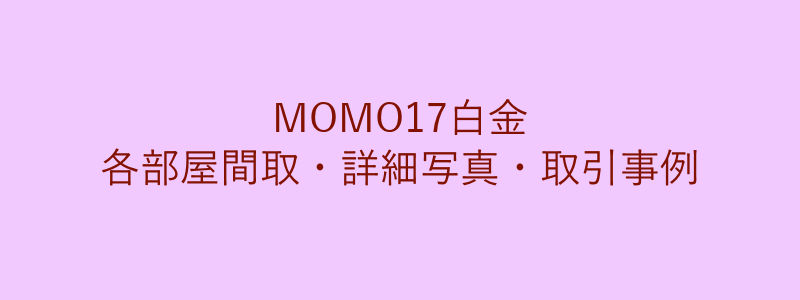 MOMO17白金（取引事例）