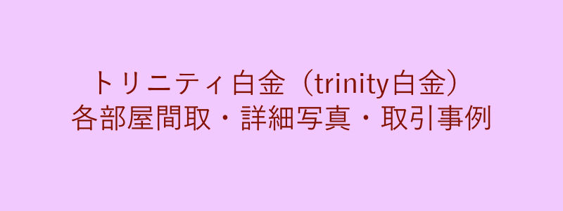 トリニティ白金（trinity白金）（取引事例）