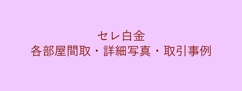 セレ白金（取引事例）