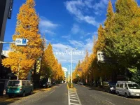 白金台FLATS(プラチナ通り)