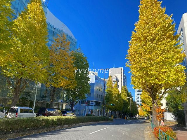 白金台の紅葉2025(プラチナ通り)