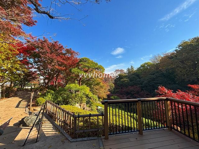 池田山公園2025年秋_1
