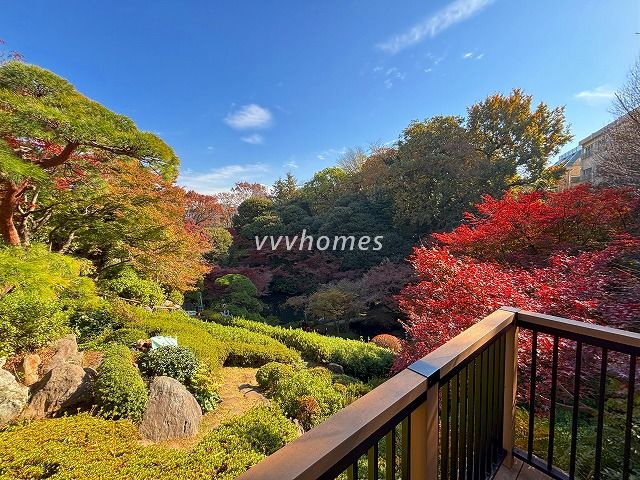 池田山公園2025年秋_2