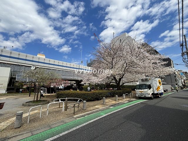 2025年の桜(白金公園)