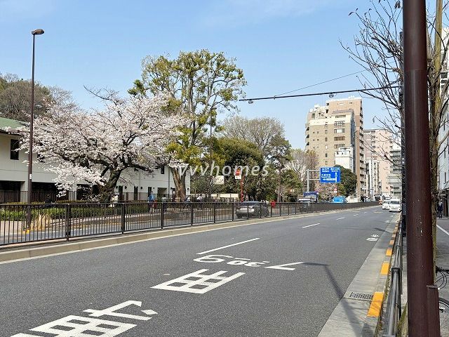 どんぐり公園2025年桜その3