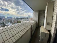 グラーサ白金高輪（眺望）