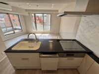 エルラフィナ白金（オール電化）