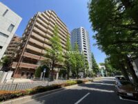 ファミールコート白金タワーズ(前面道路)