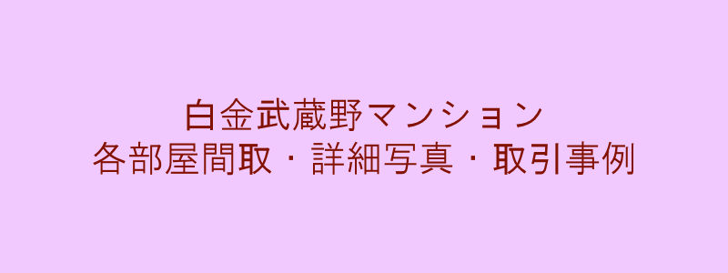 白金武蔵野マンション（取引事例）